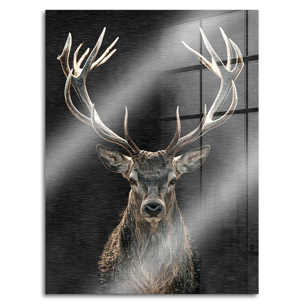 Hirsch Black Art Aluminiumbild gebürstet