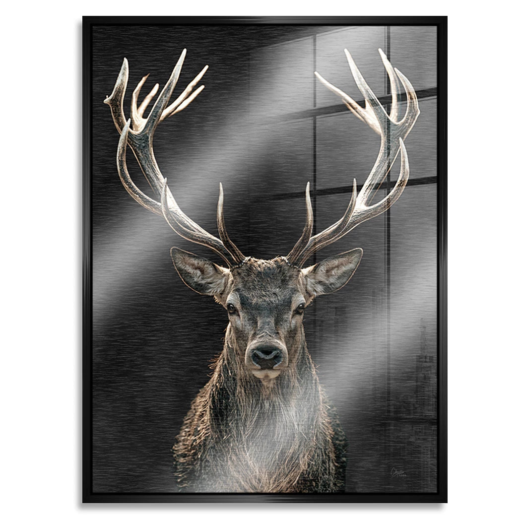 Hirsch Black Art Aluminiumbild gebürstet