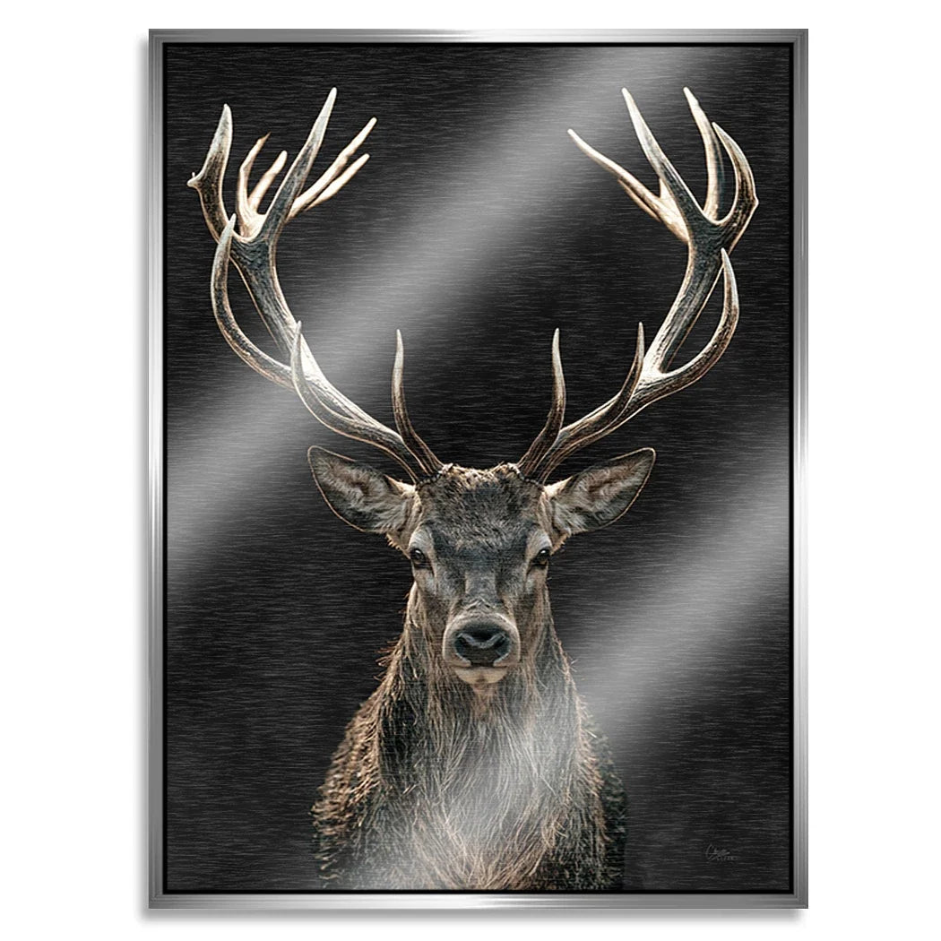 Hirsch Royal Art Aluminiumbild gebürstet