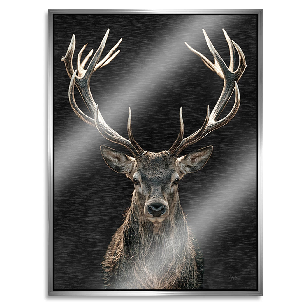 Hirsch Black Art Aluminiumbild gebürstet