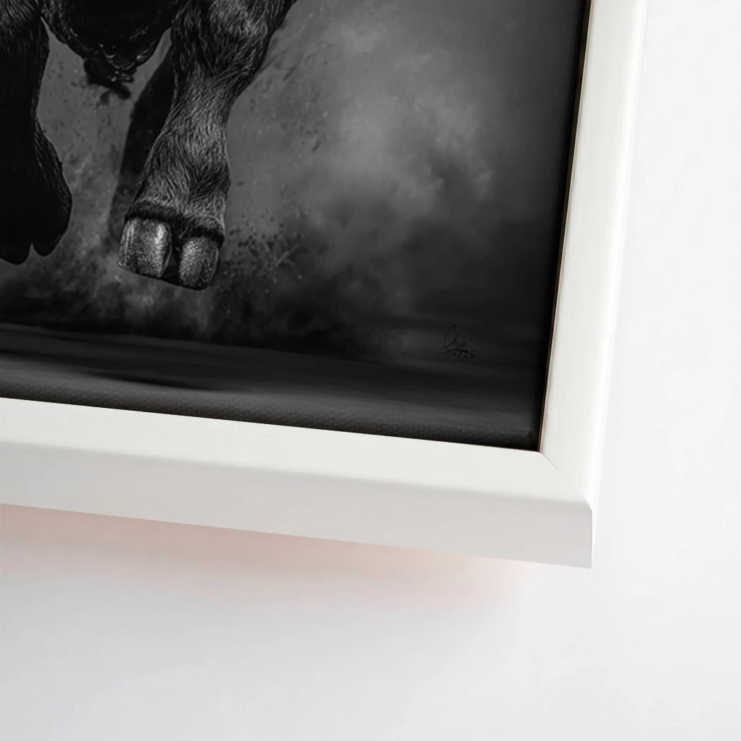 Stier Prestige Leinwand Bild