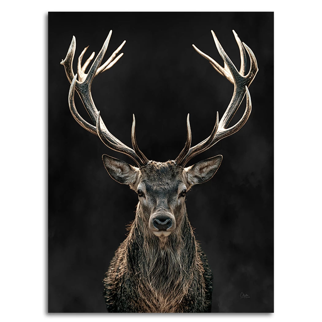 Hirsch Black Art Leinwand Bild