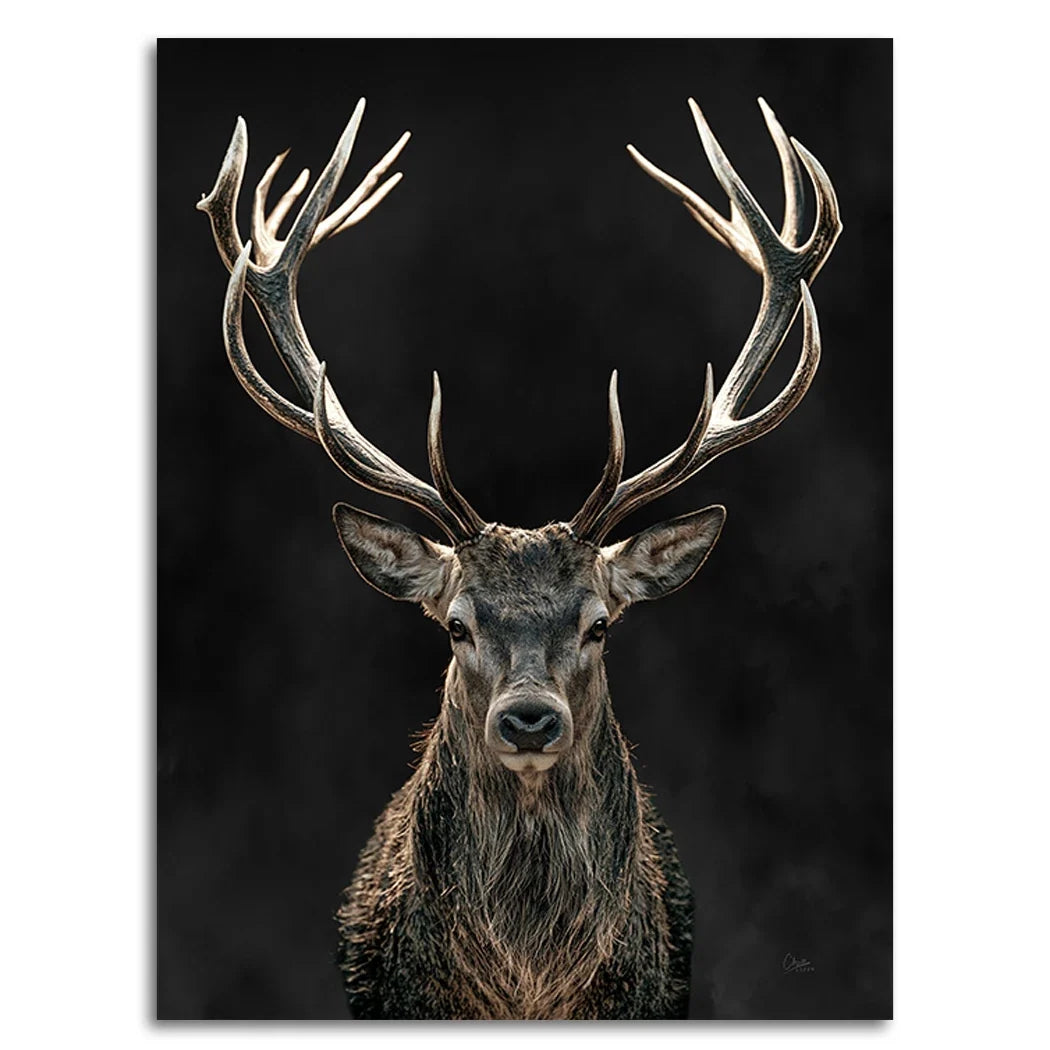 Hirsch Royal Art Leinwand Bild