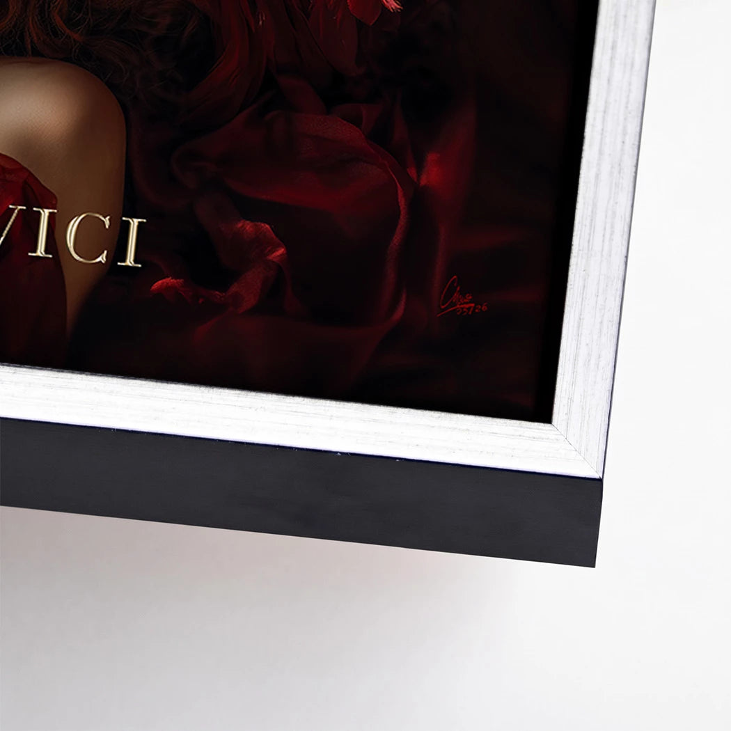 Veni Vidi Vici Leinwand Bild