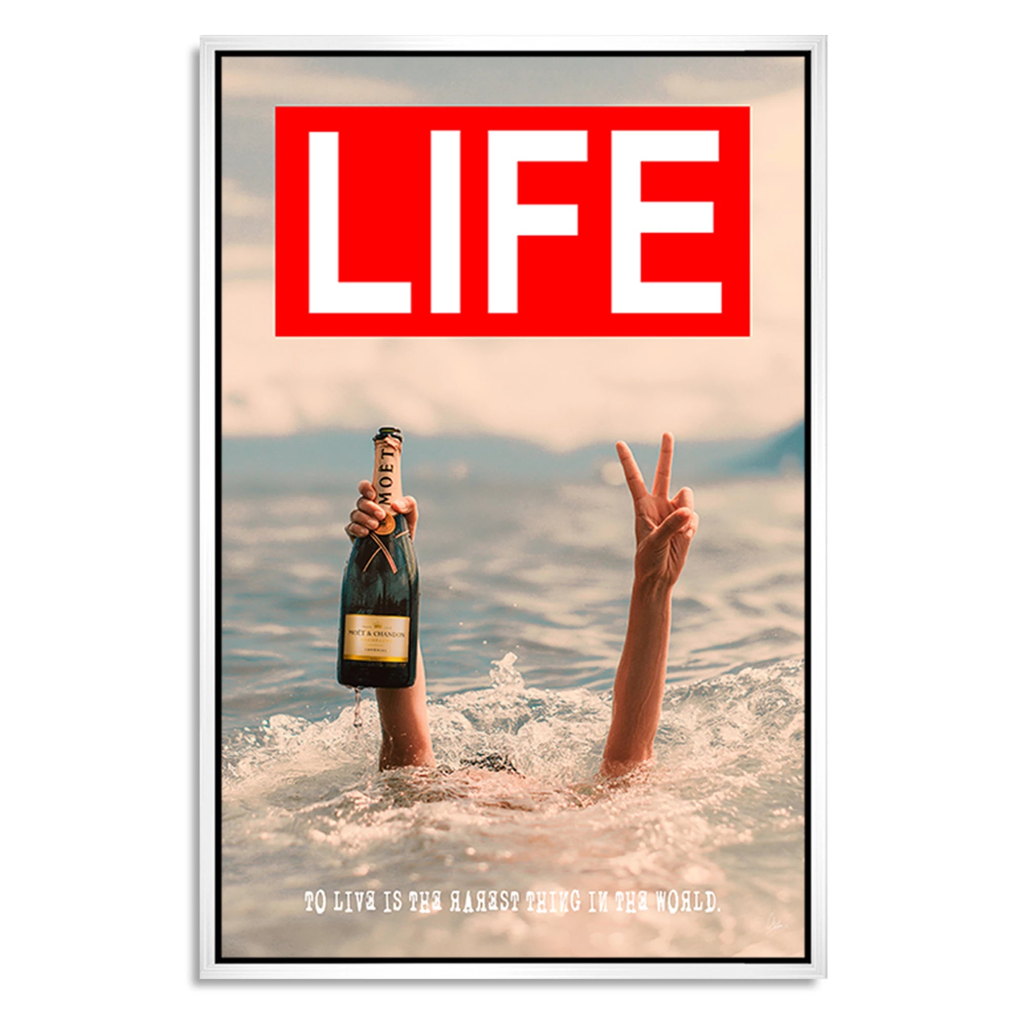 Life Moment Leinwand Bild