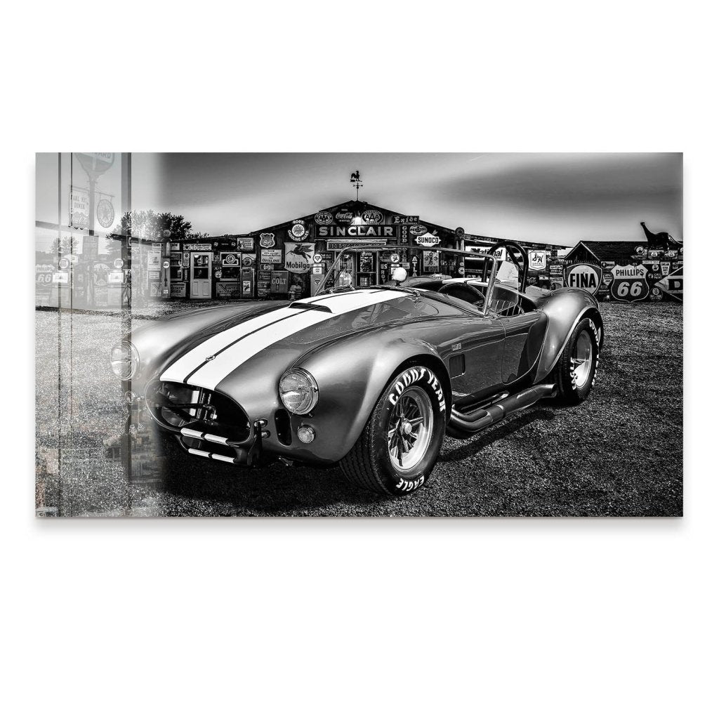 AC Cobra Abstrakt Silver Acrylglas Bild INGALERIE