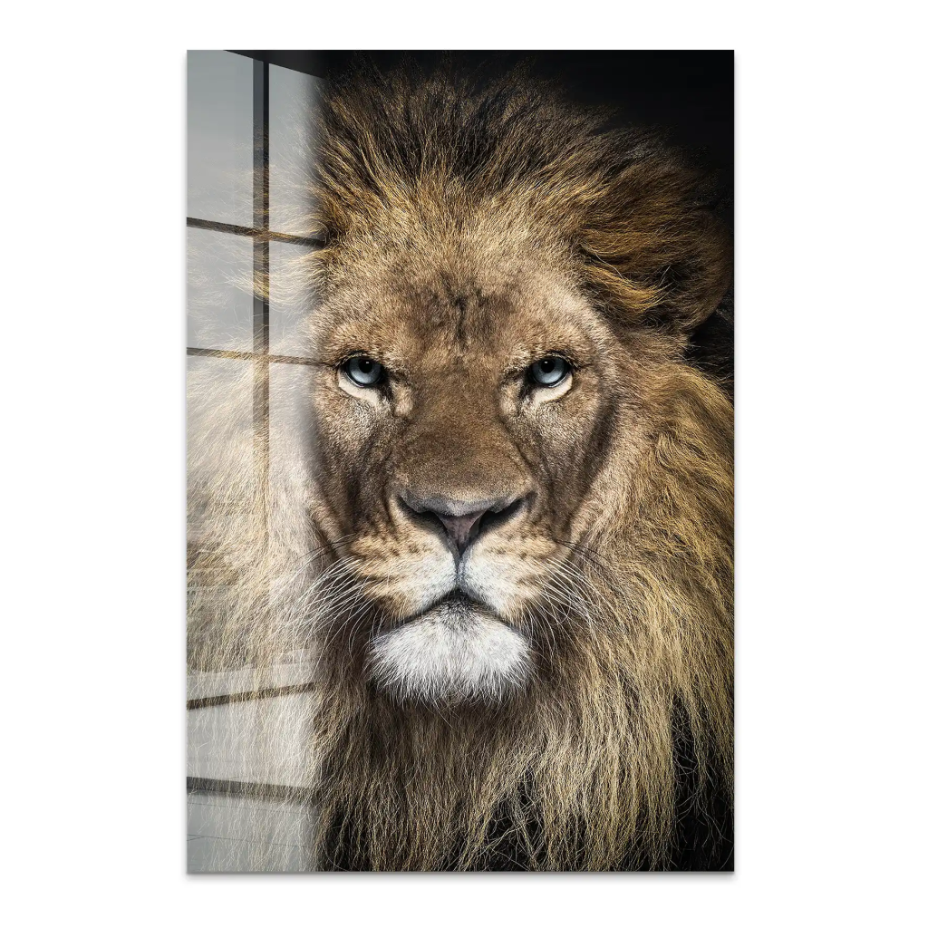 Lion Portrait Acrylglas Bild INGALERIE