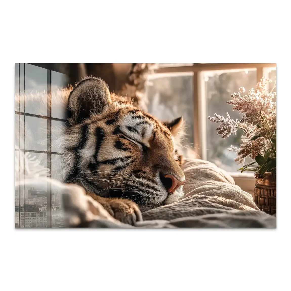 Schlafender Tiger Acrylglasbild