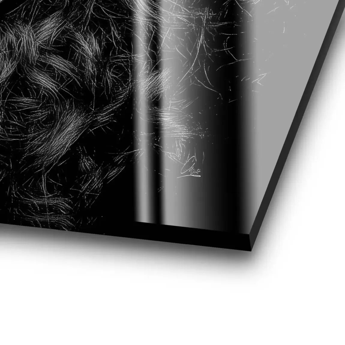 Midnight Harmony Acrylglas Bild