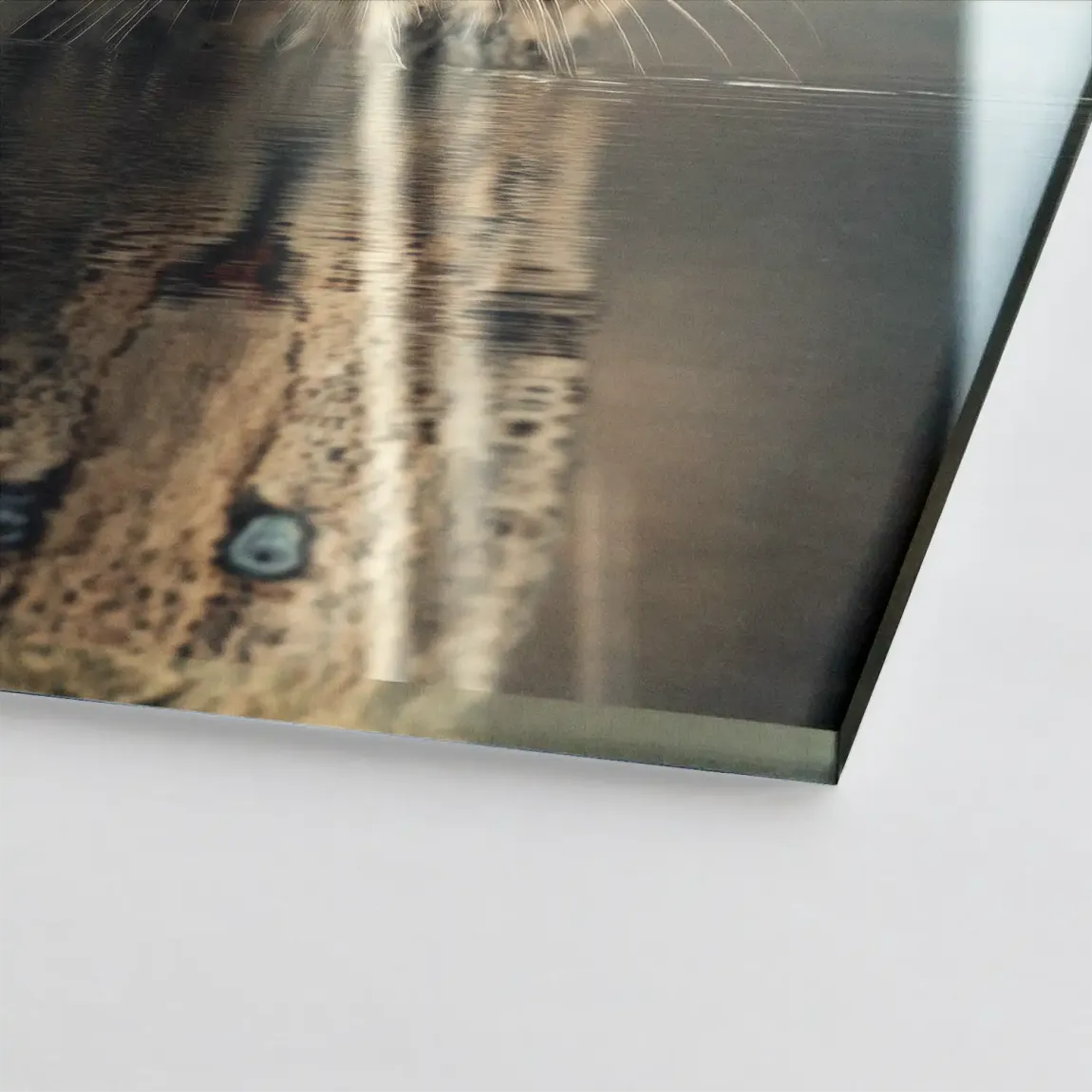 Silent Leopard Acrylglasbild