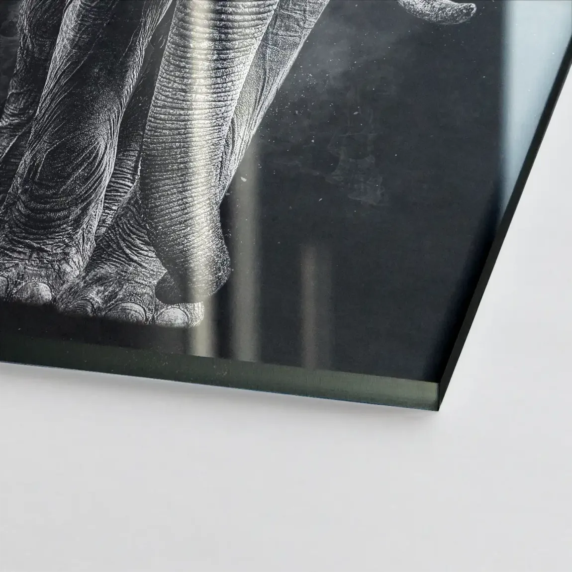 Elefant Noir Acrylglasbild