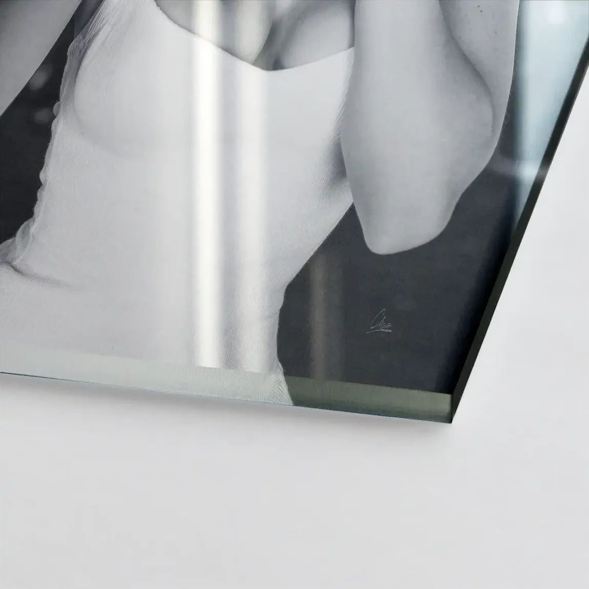 Marilyn Monroe Selfie Acrylglasbild