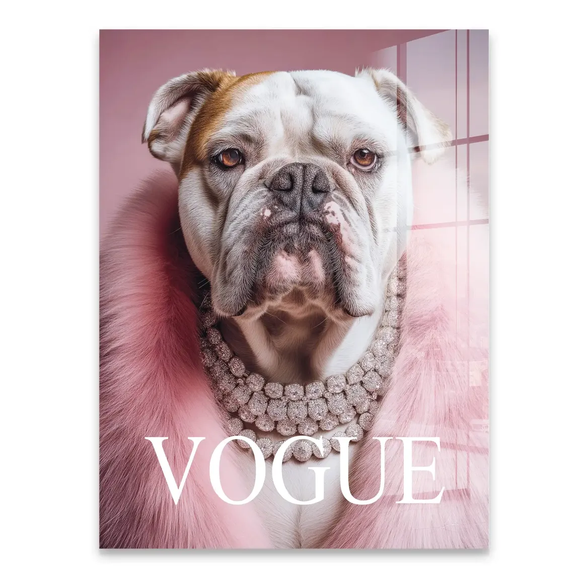 Bulldogge Vogue Acrylglasbild