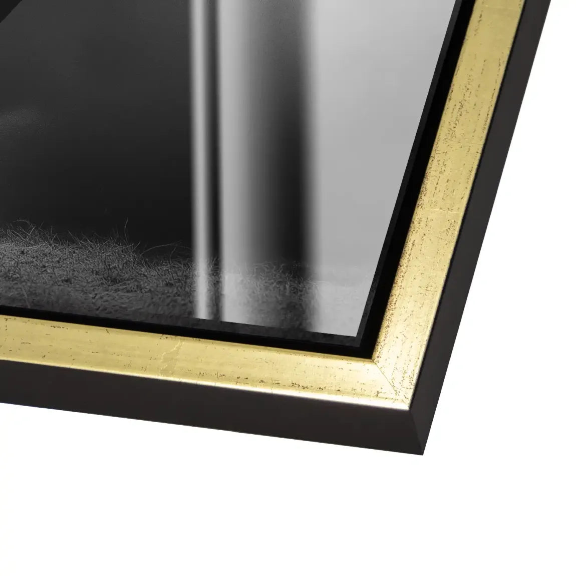 Stier Noir Acrylglasbild