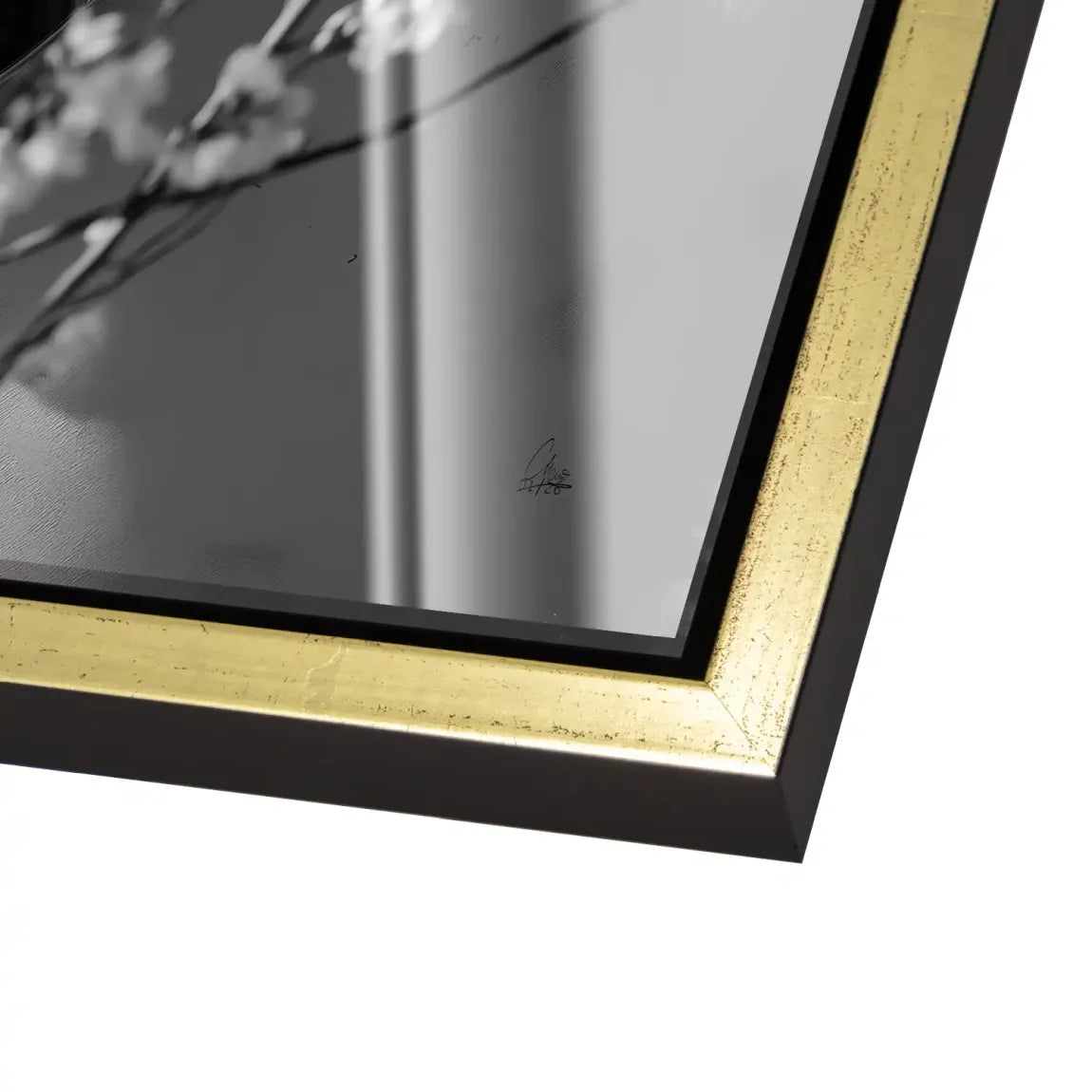 Velvet Muse Acrylglas Bild