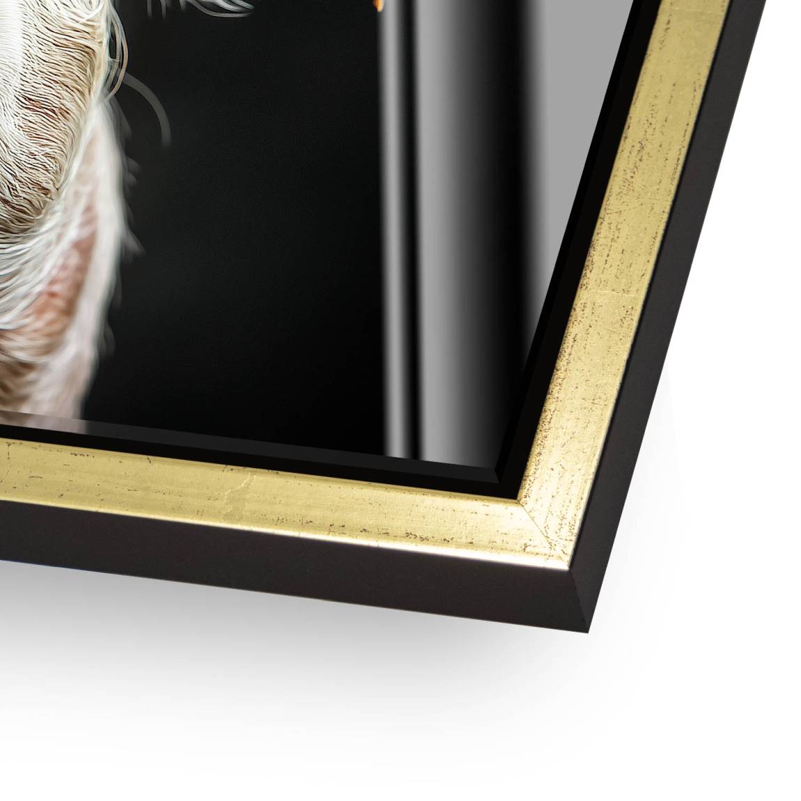 Blüten Schwein Acrylglas Bild