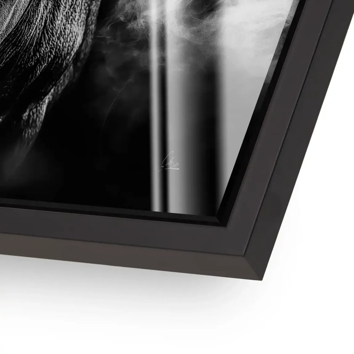 Black Bull Vision  Acrylglas Bild