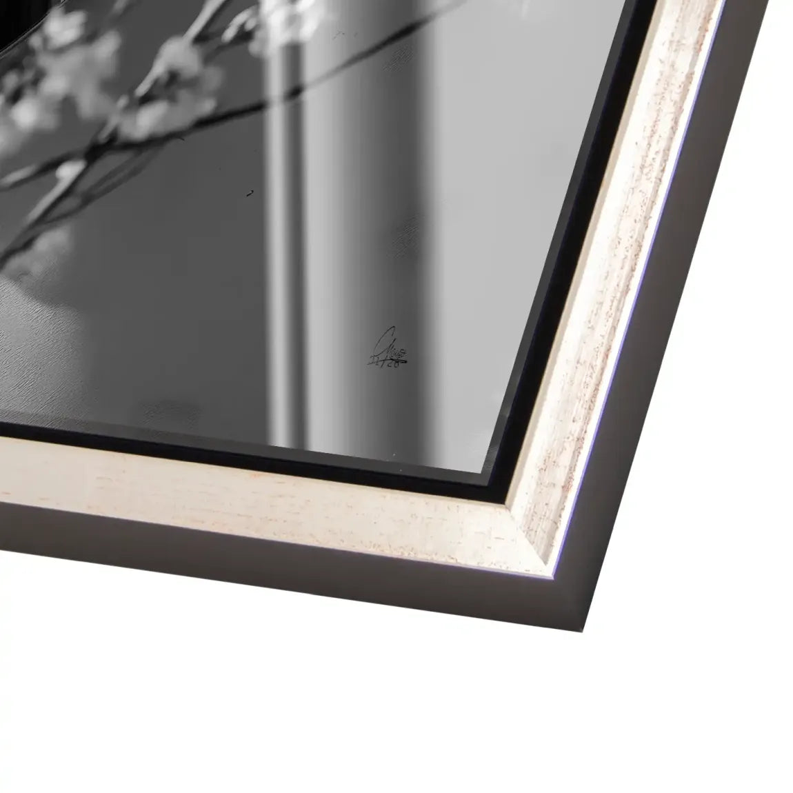 Velvet Muse Acrylglas Bild