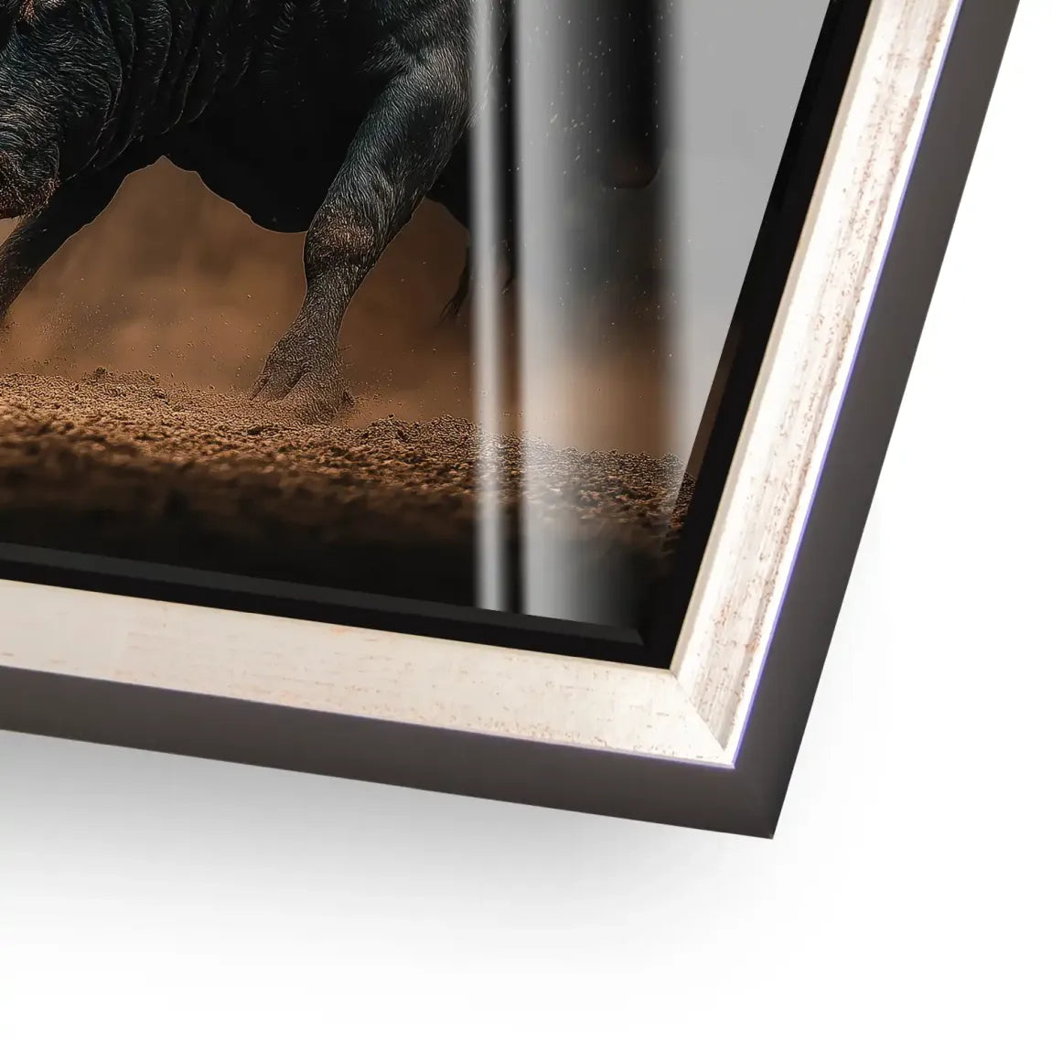 Bulls of Valor Acrylglas Bild