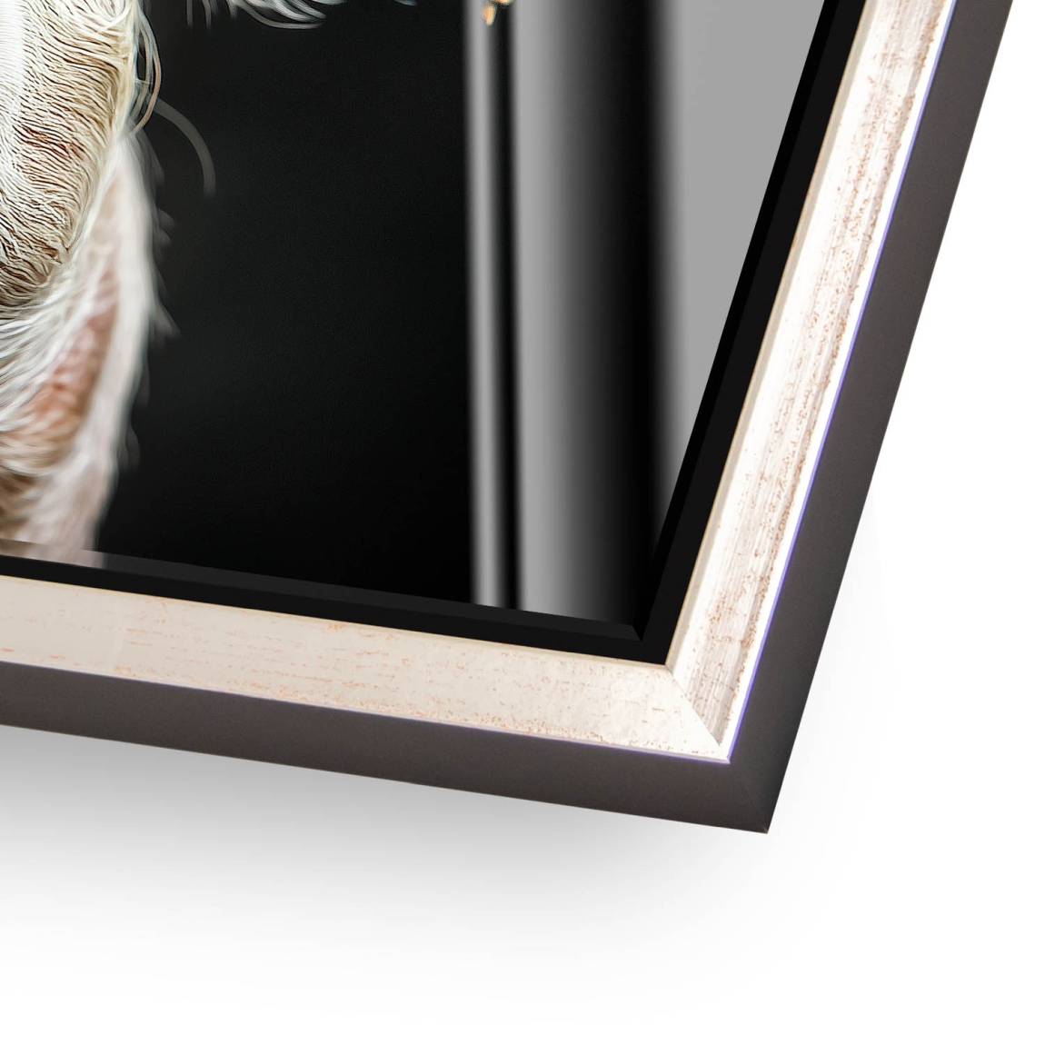 Blüten Schwein Acrylglas Bild