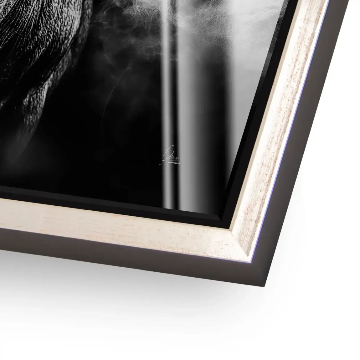 Black Bull Vision  Acrylglas Bild