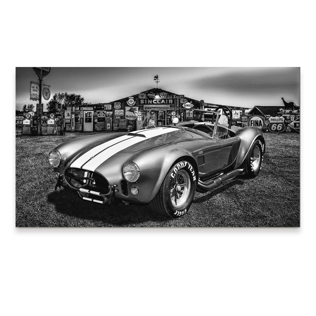 AC Cobra Abstrakt Silver Aludibond Bild INGALERIE