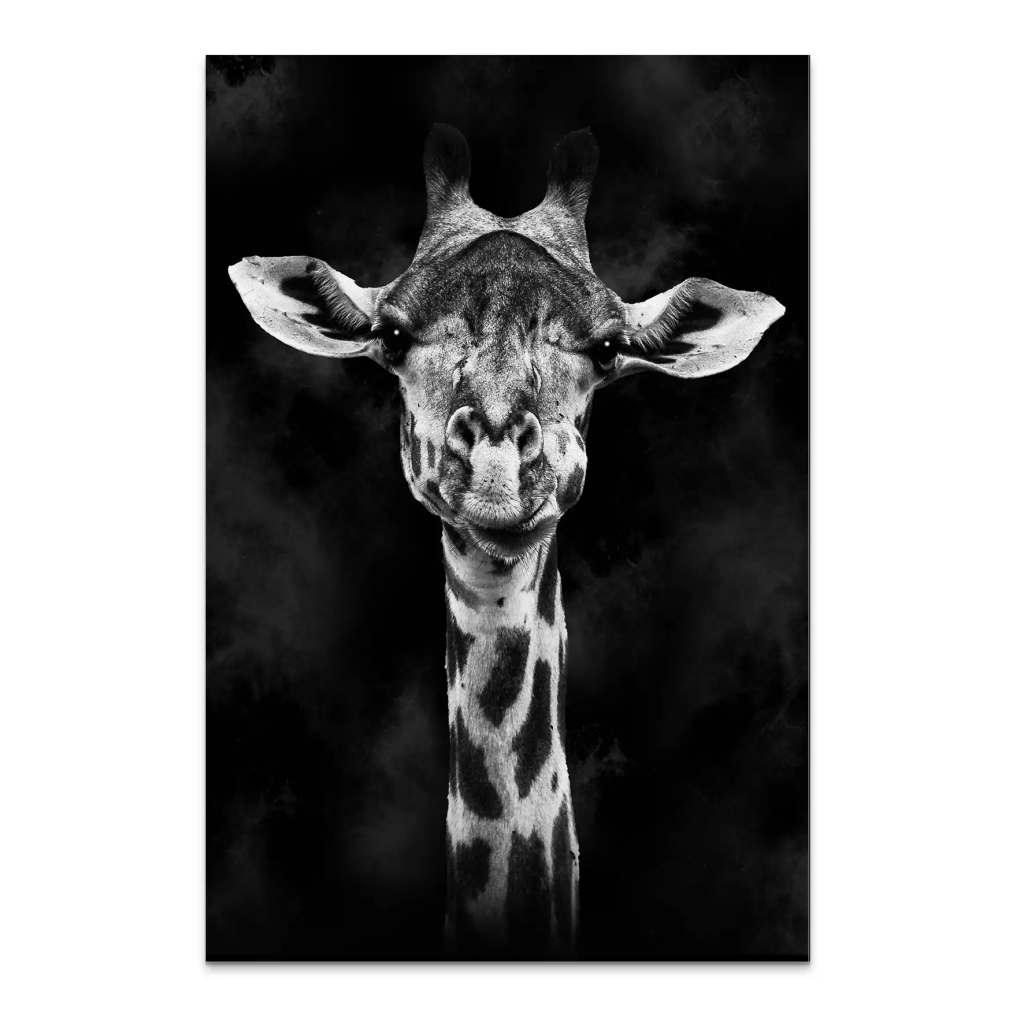 Giraffe Abstrakt Black Style AluDibond Bild INGALERIE