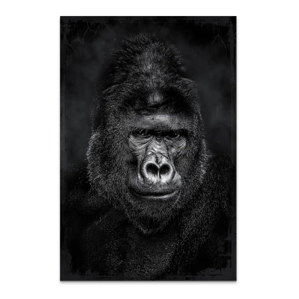 Gorilla Abstrakt Black Style AluDibond Bild INGALERIE