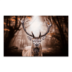 Hirsch Vintage Style AluDibond Bild
