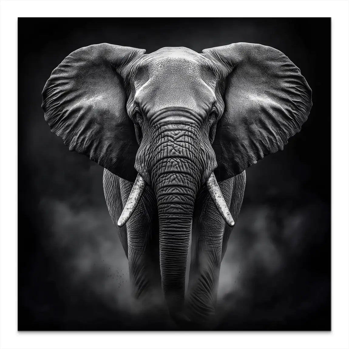 Elefant Black Style AluDibond Bild INGALERIE