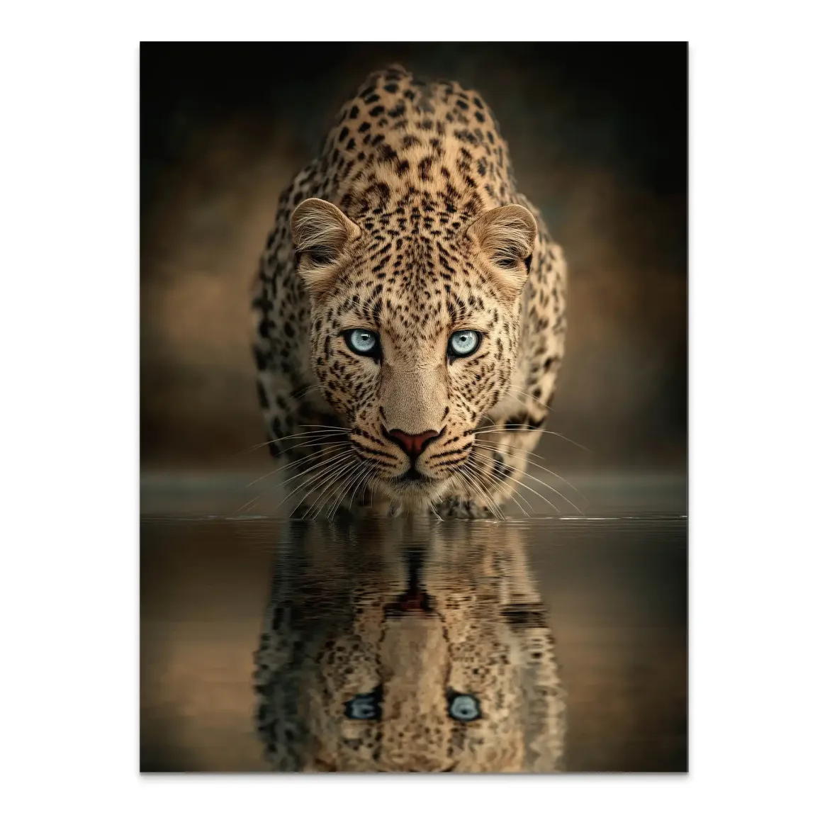 Silent Leopard Alu Dibond Bild