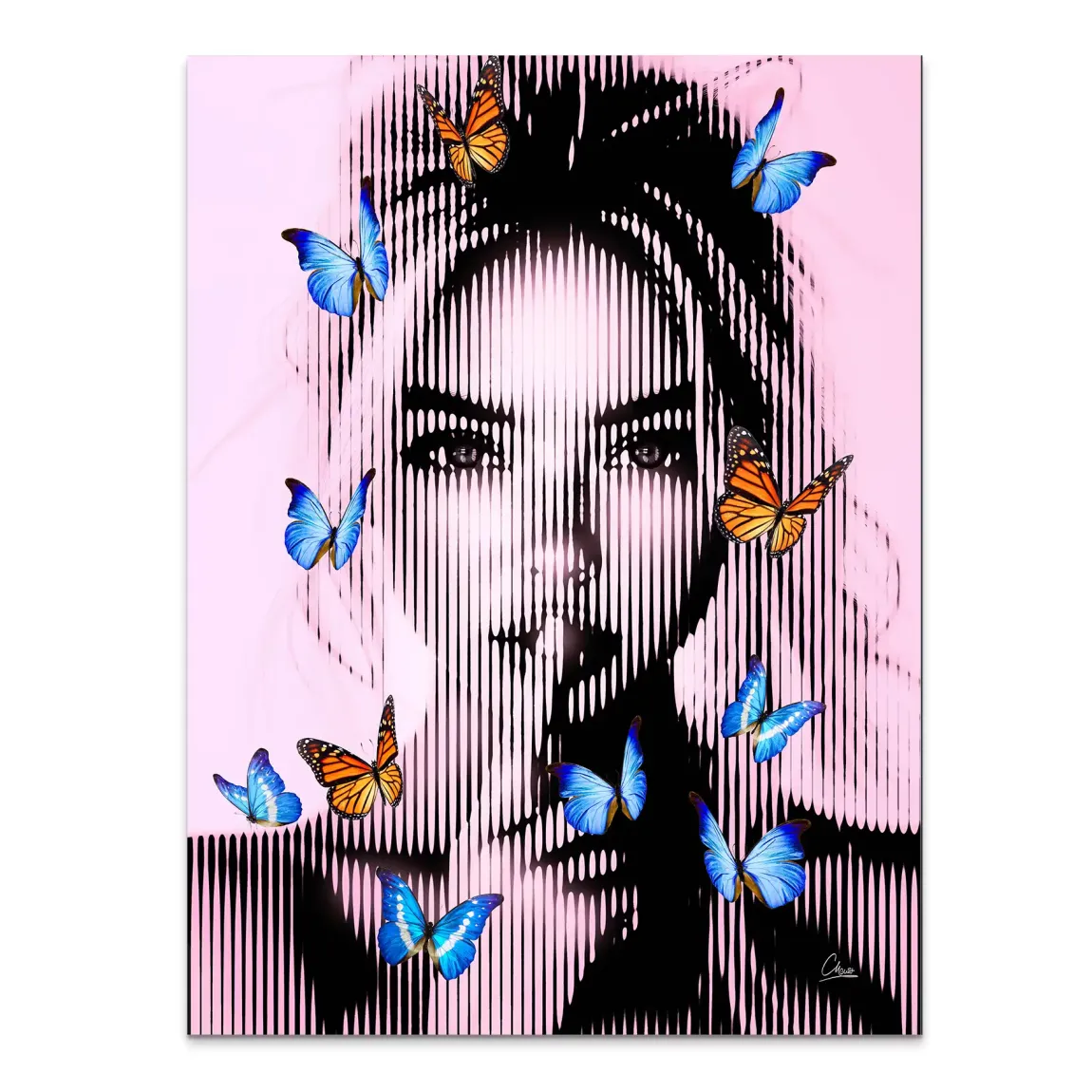 Silent Butterfly Alu Dibond Bild INGALERIE