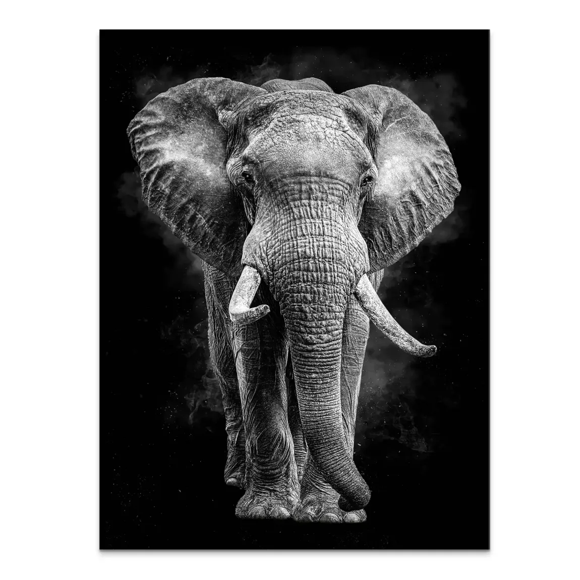 Elefant Noir Alu Dibond Wandbild