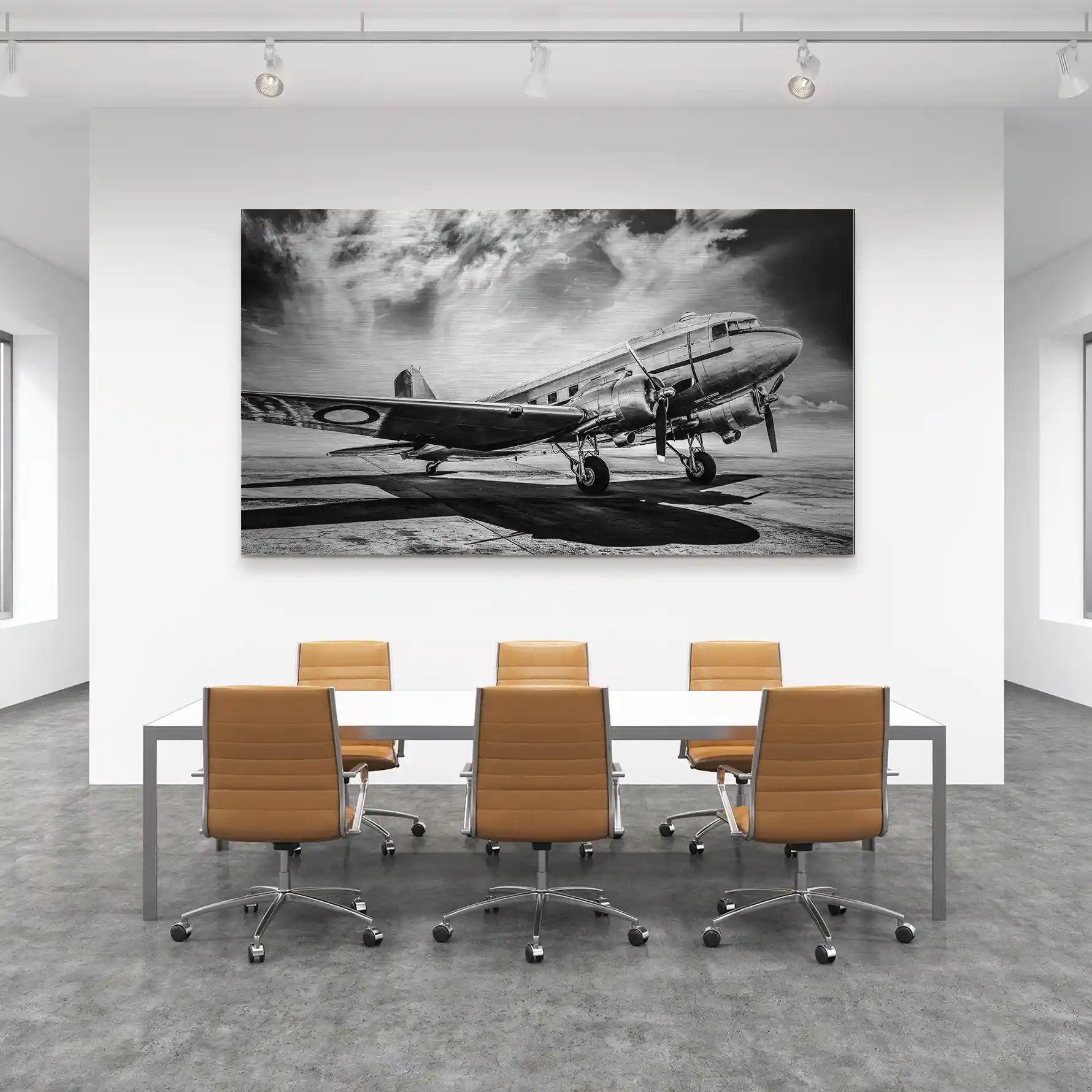 DC3 Vintage Flugzeug Alu Gebürstet INGALERIE