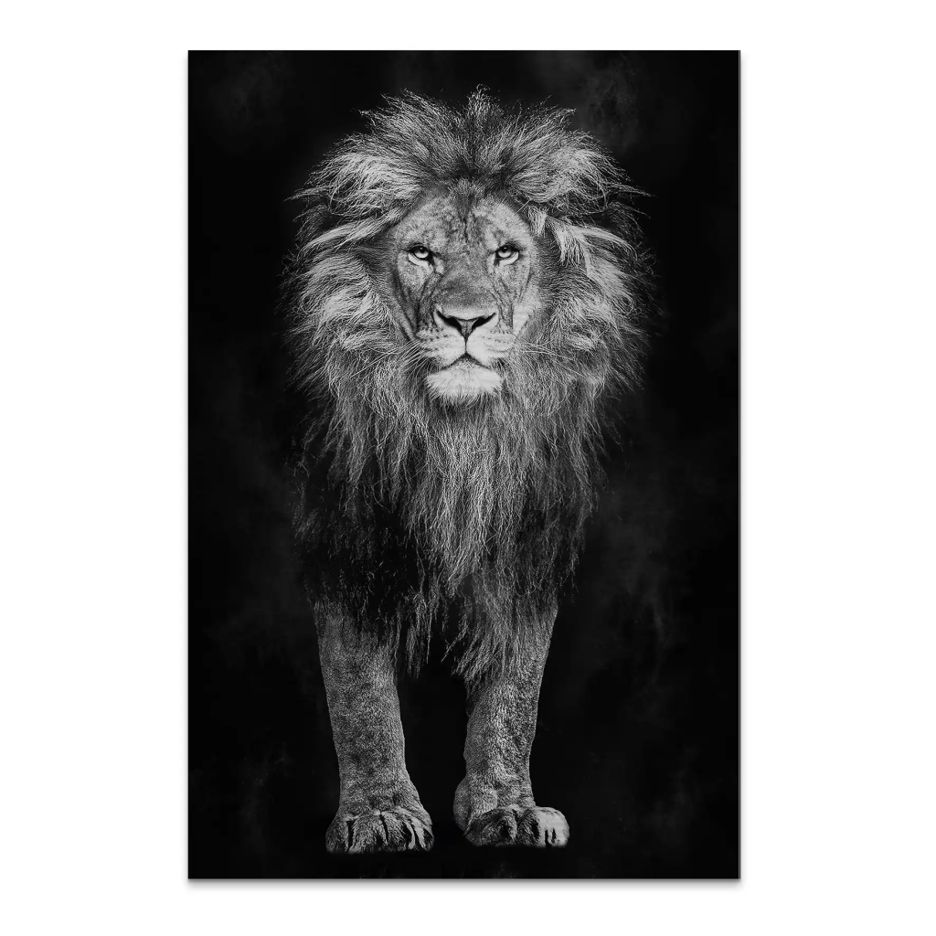 Lion Black Style AluDibond Gebürstet INGALERIE