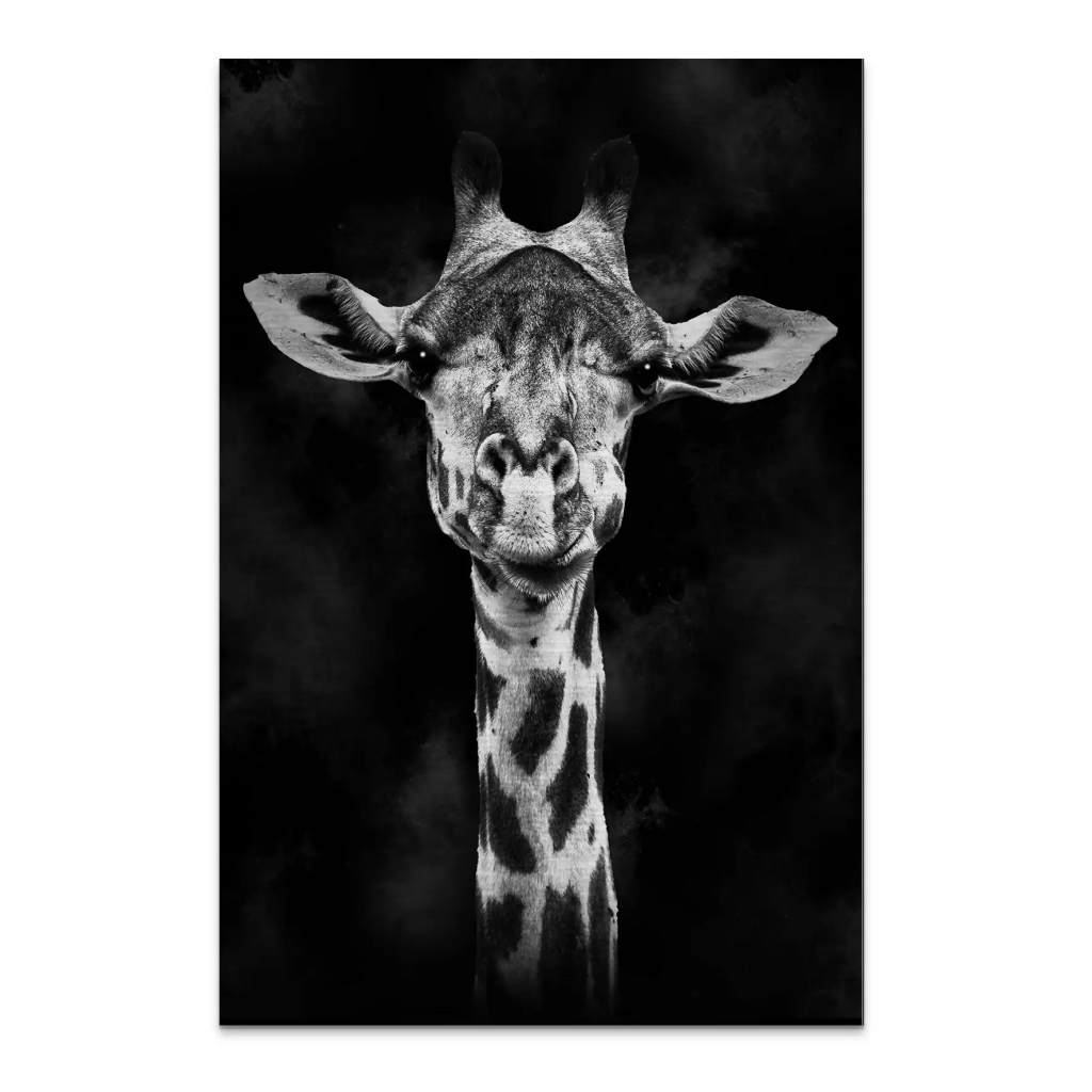 Giraffe Abstrakt Black Style AluDibond Gebürstet INGALERIE