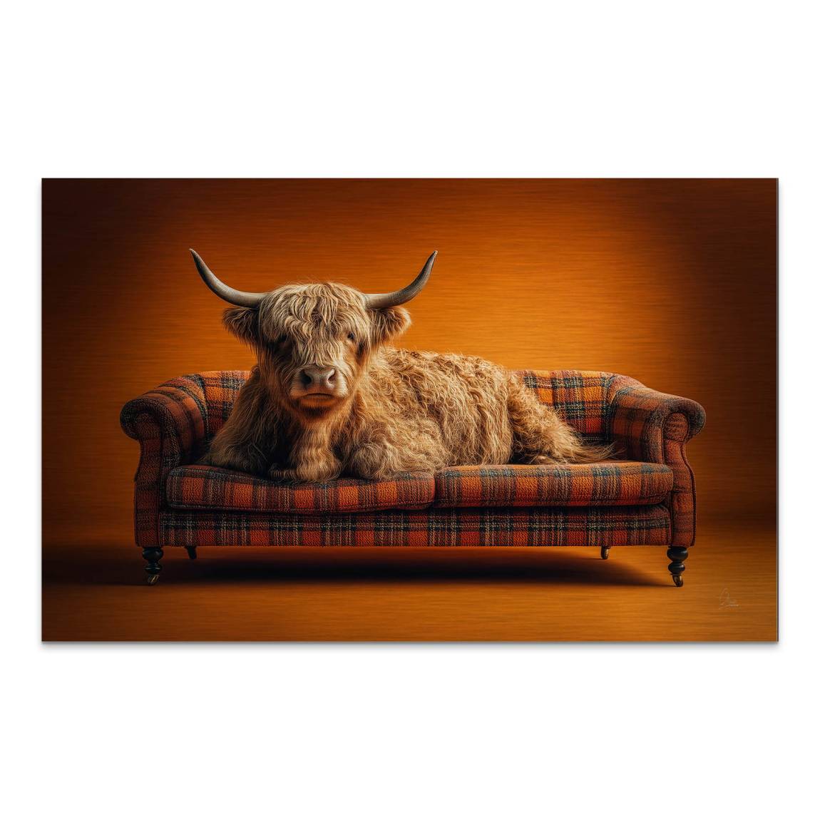 Highland Lounge Alu Dibond Gebürstet Bild