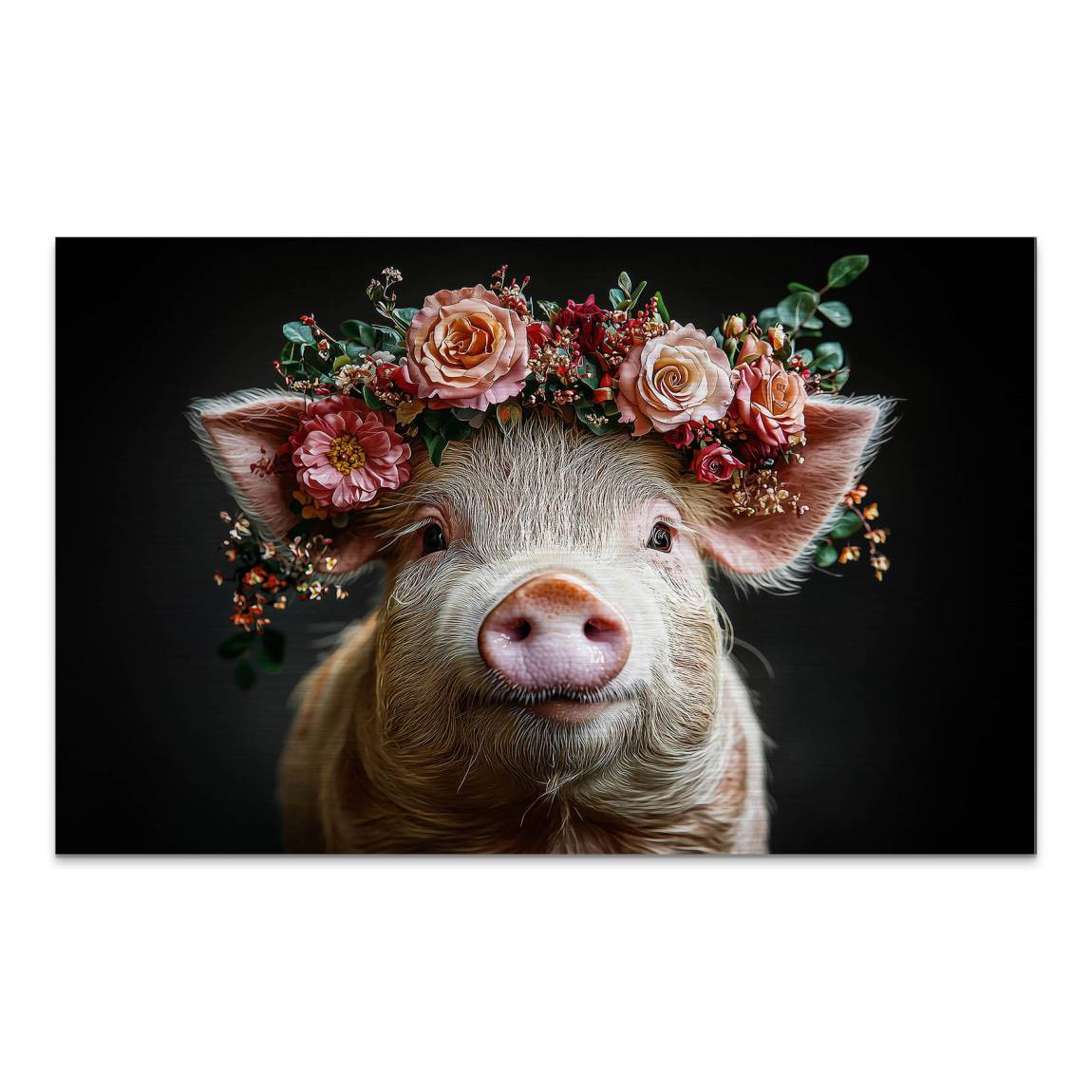 Blüten Schwein Alu Dibond Gebürstet Bild