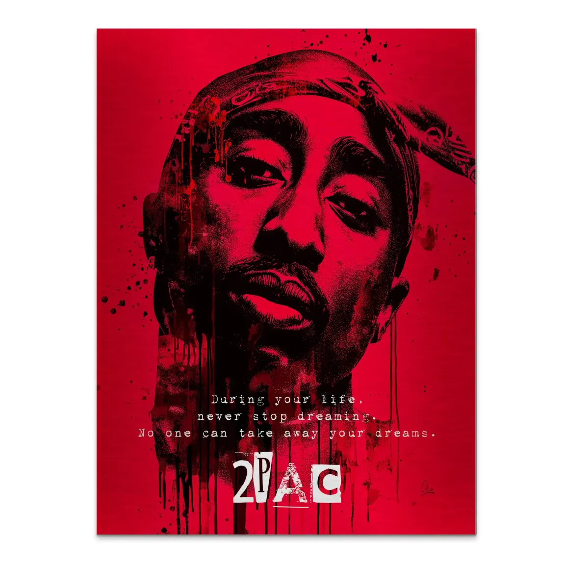 Red Legend Alu Gebürstet Bild