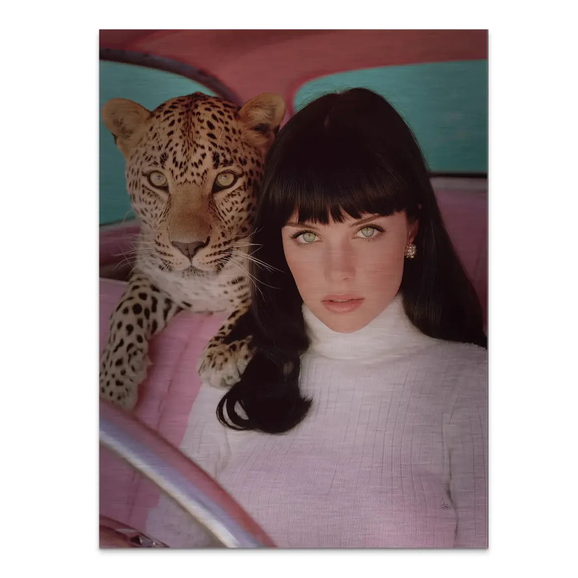 Leopard Diva Aluminiumbild gebürstet