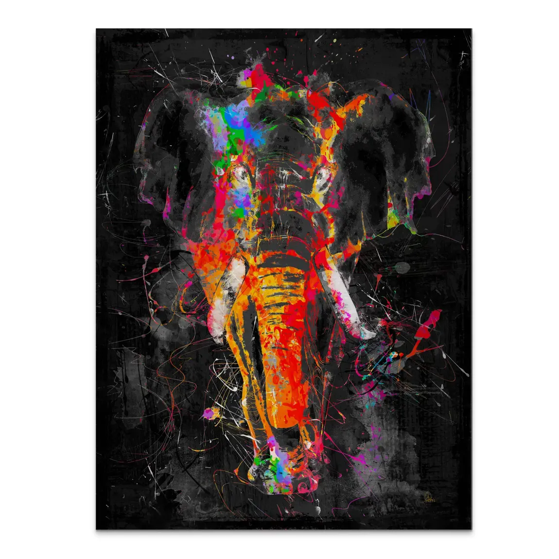 Bunter Elefant Aluminiumbild gebürstet