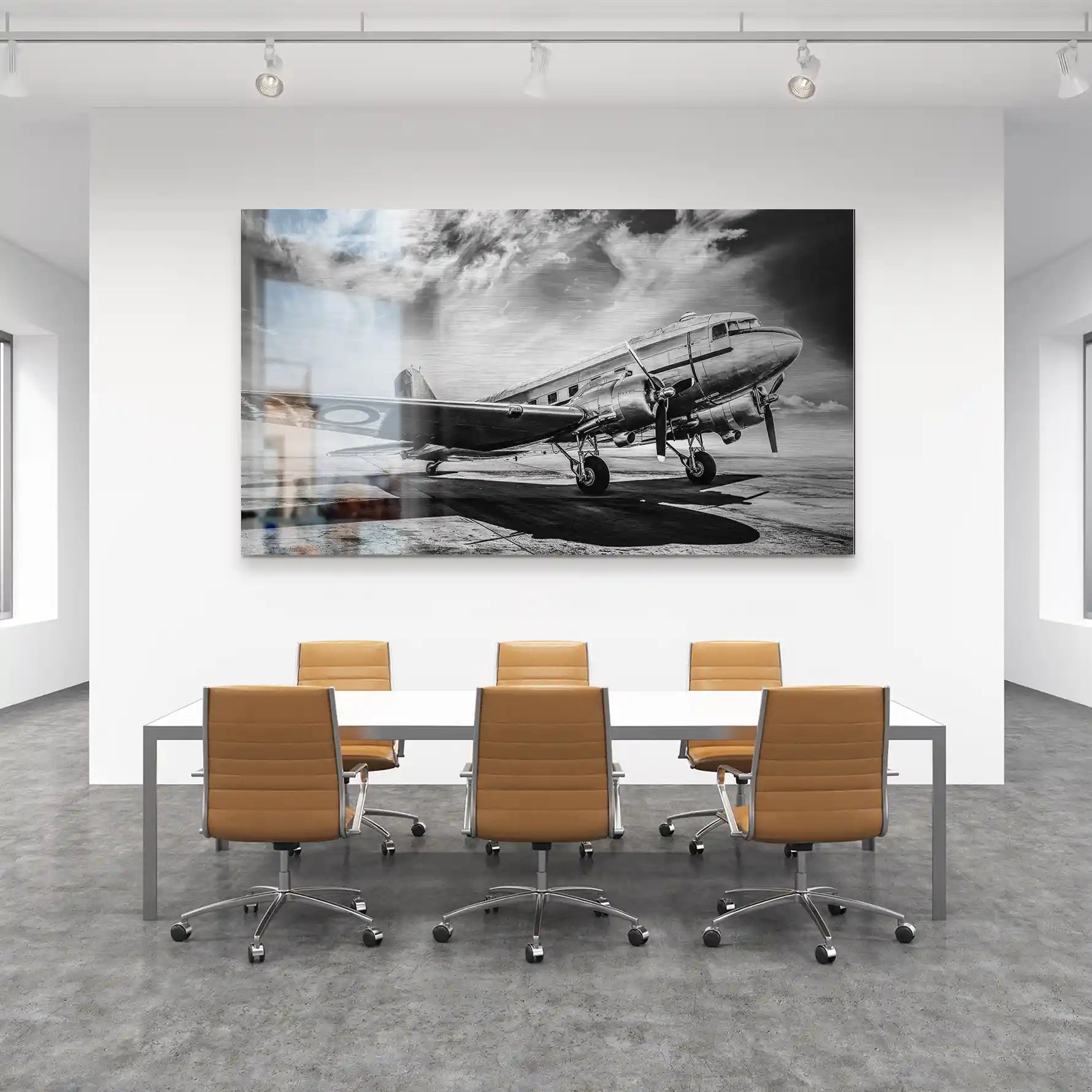 DC3 Vintage Flugzeug Alu Gebürstet INGALERIE