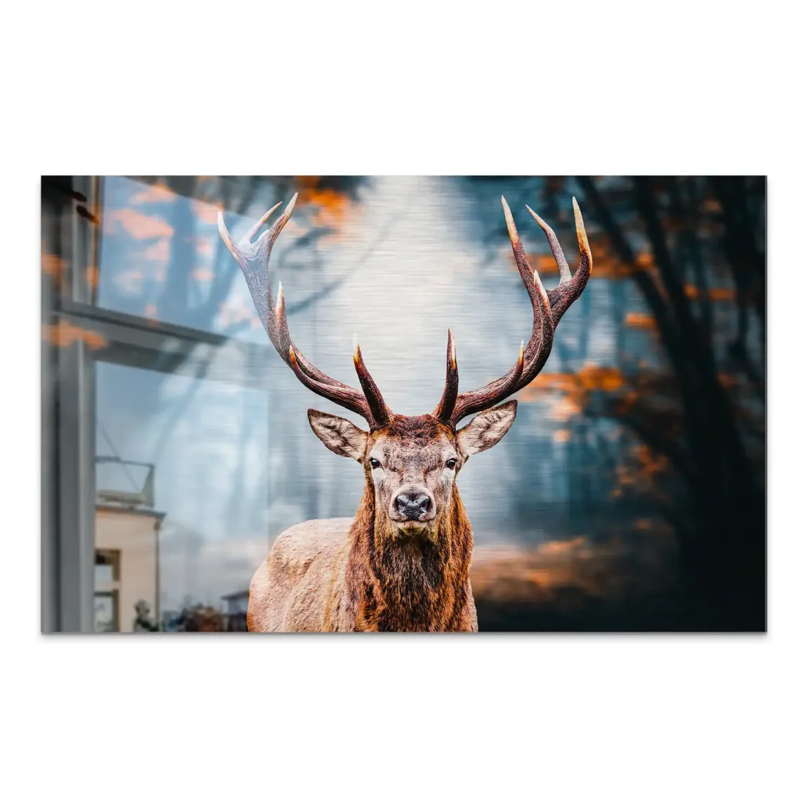 Hirsch im Wald Aluminiumbild gebürstet