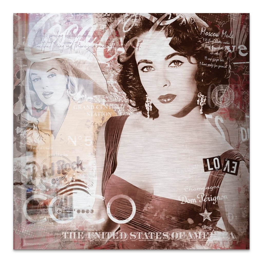 Marilyn & Liz Pop Art Retro Style Alu Gebürstet Bild INGALERIE