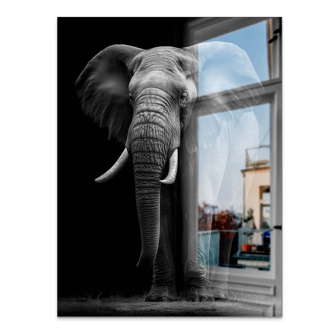 Black Elefant Aluminiumbild gebürstet