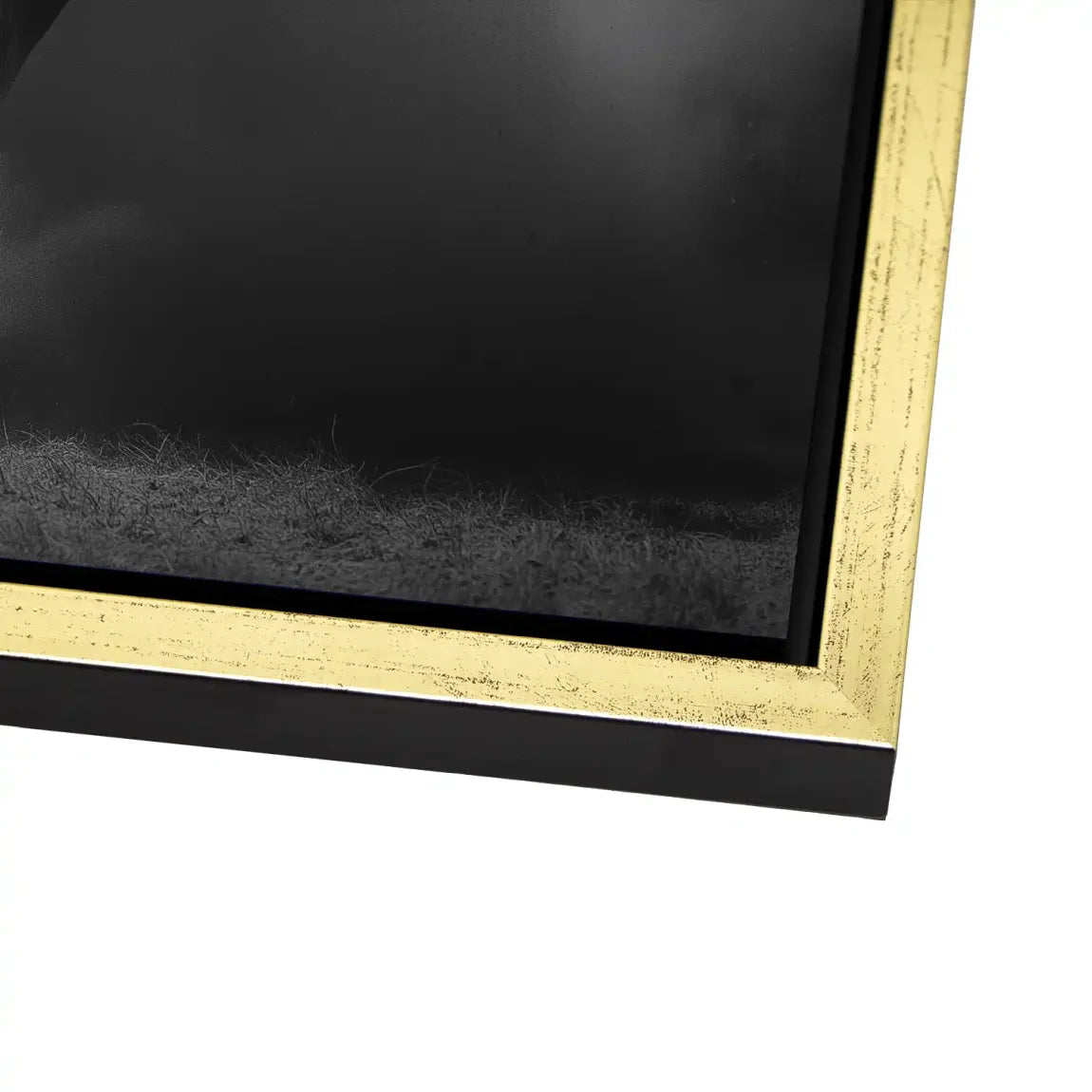 Stier Noir Alu Dibond Wandbild