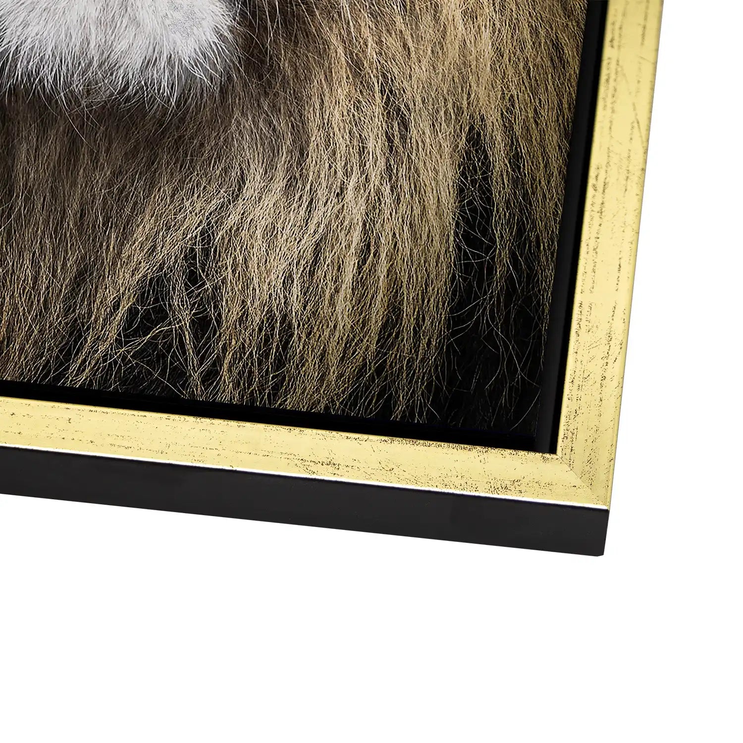 Lion Portrait AluDibond Bild INGALERIE