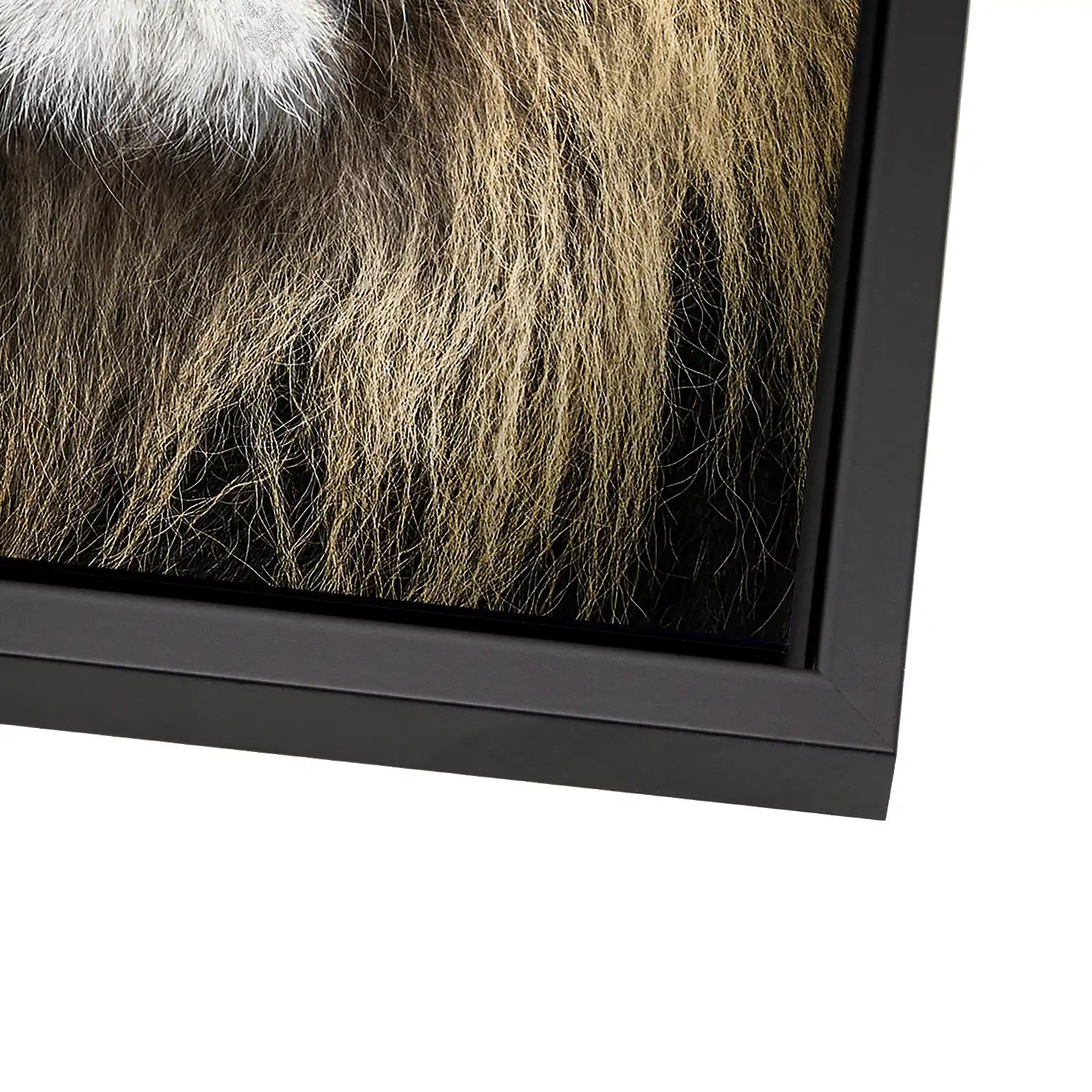 Lion Portrait AluDibond Bild INGALERIE