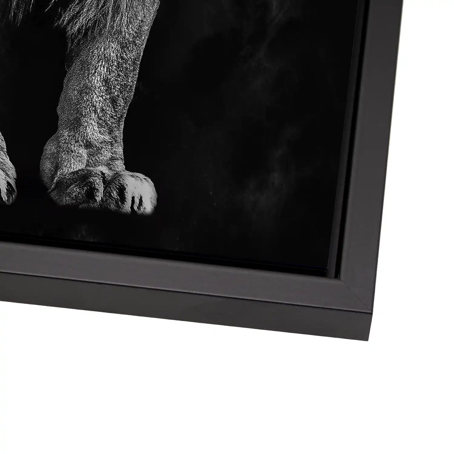 Lion Black Style AluDibond Bild INGALERIE