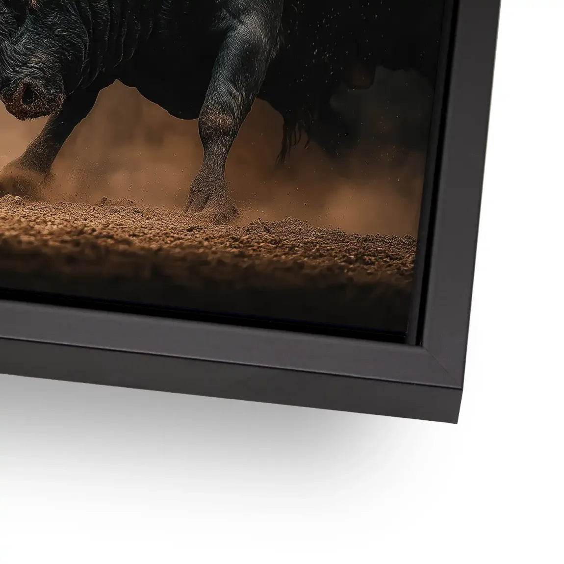 Bulls of Valor AluDibond Bild